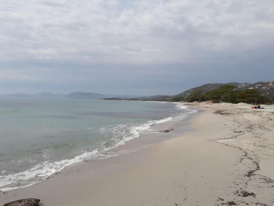 Studio 4 Pers Coeur Du Lavandou 5Mn A Pied Des Plages Le Lavandou Bagian luar foto