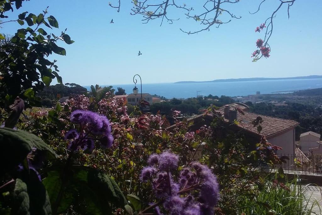 Studio 4 Pers Coeur Du Lavandou 5Mn A Pied Des Plages Le Lavandou Bagian luar foto